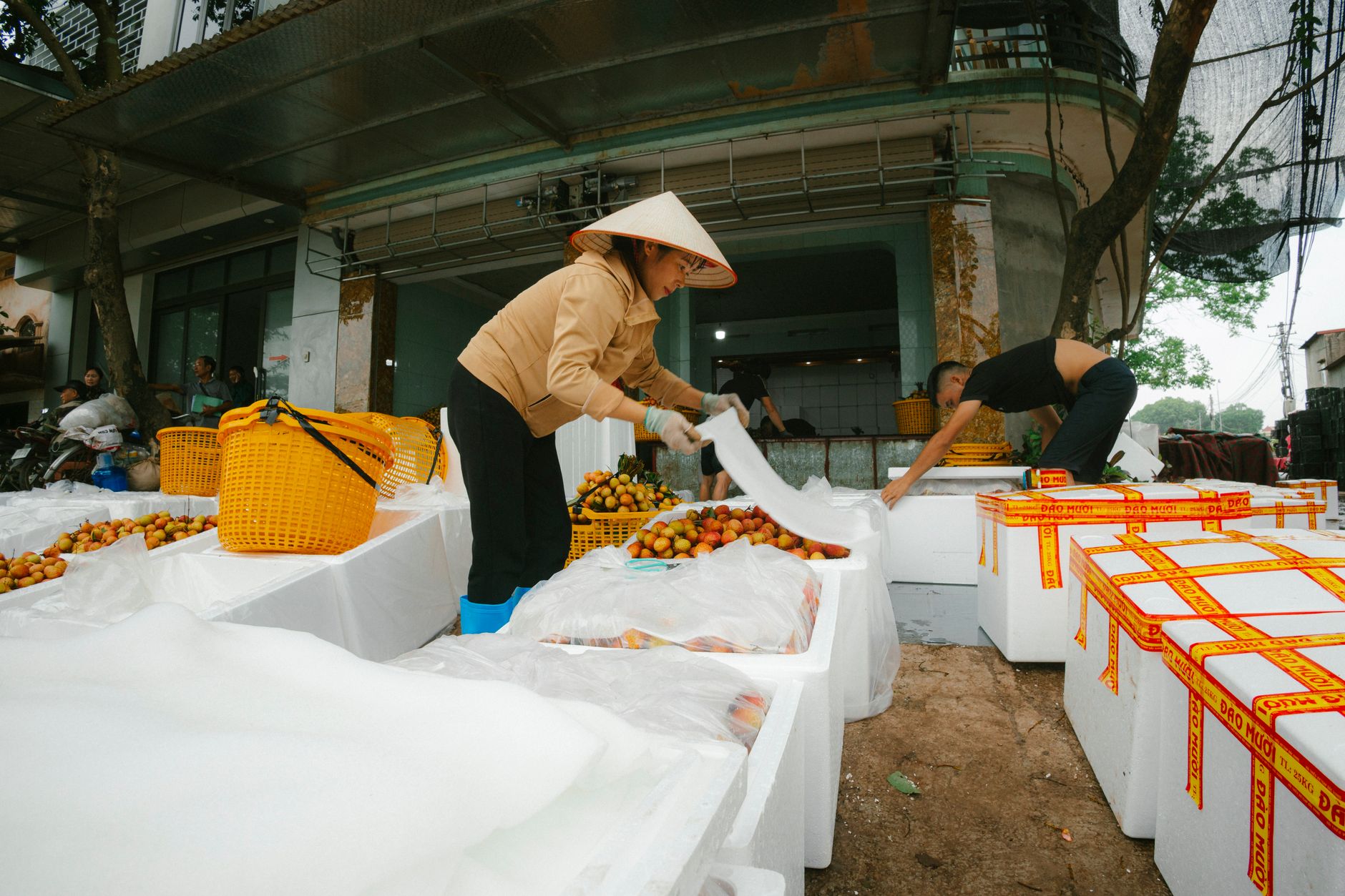 Thủ tướng yêu cầu Bộ Tài chính nghiên cứu giảm thuế thu nhập cho doanh nghiệp nhỏ và vừa năm 2026